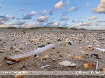 Eerste groene strand van Nederland op Goeree-Overflakkee