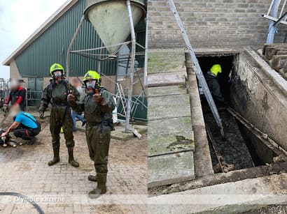 Kalfje gered uit gierput in Sommelsdijk