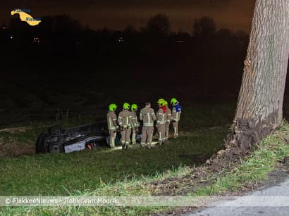 Bestelbusje tegen boom nabij Nieuwe-Tonge