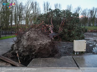 Boom valt om en trekt gasleiding mee