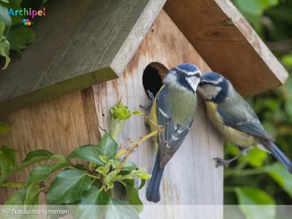 Welkom in kraamkamer Moeder Natuur