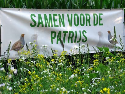 Project Samen voor de Patrijs van start