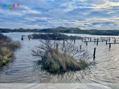 Duinwater in overvloed
