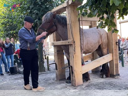 Streekmuseum viert 75-jarig bestaan met schenking van Travalje