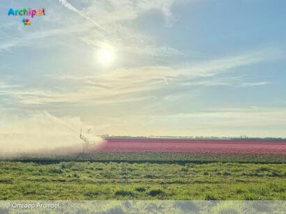 Alleen vandaag nog inschrijven voor de Tulpentocht