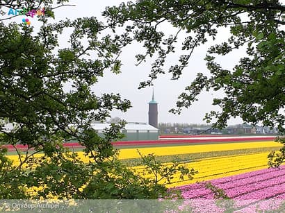 Trouwen in de watertoren in de toekomst misschien mogelijk
