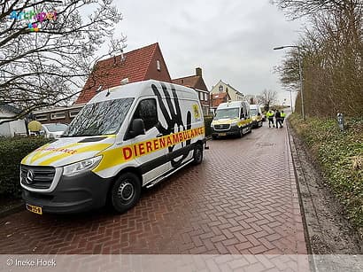 Elke dag is anders bij de dierenambulance