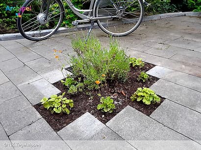 Een moestuintje in plaats van tegels