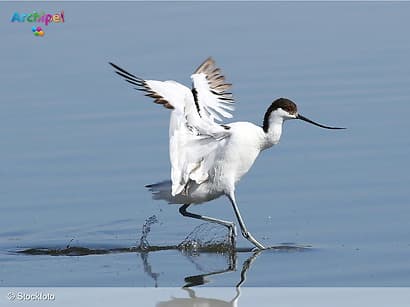 Inloopspreekuur over natuurbeheerplannen Grevelingenmeer