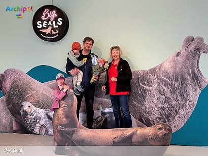 A Seal ontvangt 500.000ste bezoeker