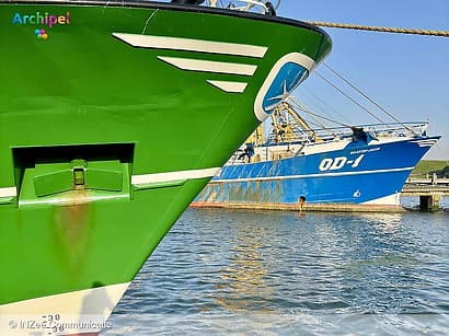 Goereese Visweken van start met 27 deelnemers