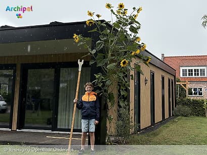 Jip kweekt de hoogste zonnebloem