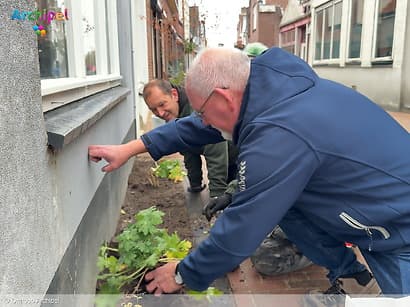 Straatdijk Dirksland bloeit weer op door geveltuintjes