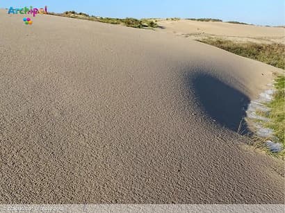 Wind en zand versterken de Springertduinen