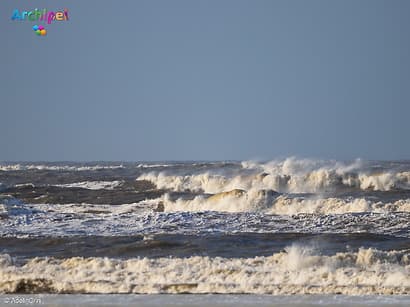Nieuwjaarsduiken op Goeree-Overflakkee
