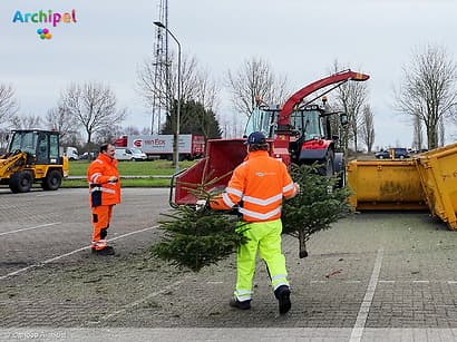 Verdien geld met oude kerstbomen