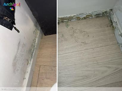 Onrust over schimmel in sociale huurwoningen Oost West Wonen