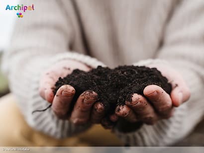 Haal gratis compost op bij de milieustraat