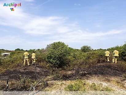 Snelle inzet voorkomt uitbreiding natuurbrand in Ouddorp