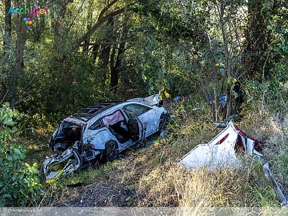 Automobilist aangehouden na botsing tegen boom