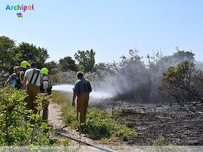 Duinbrand bij Ouddorp snel onder controle