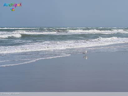 Noordzee kampt met hittegolf en breekt warmterecord
