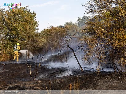Duinbrand bij de Kwade Hoek