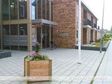 Dorpsraad Ooltgensplaat fleurt het dorp op