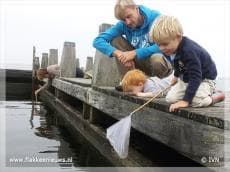 Succesvolle eerste editie Grevelingenweek