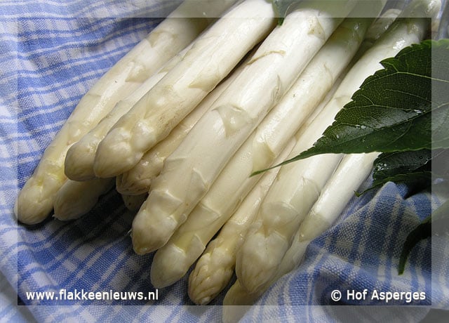Asperges-Fietsdag in Ouddorp