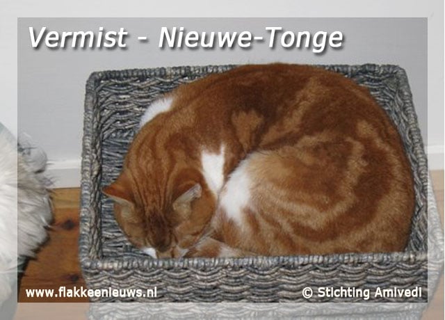 Gevonden en vermiste dieren week 11- 2009