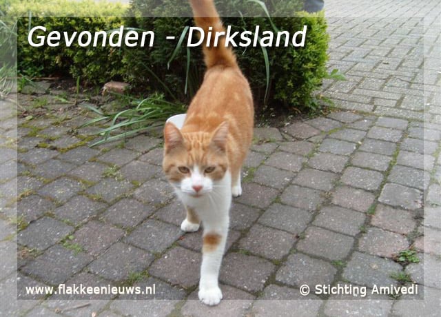 Gevonden en vermiste huisdieren week 19-2010