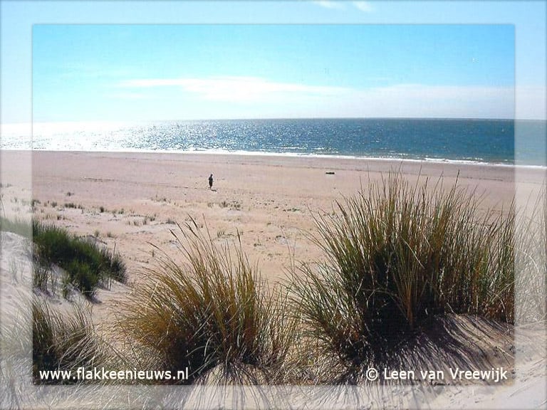 FotoWandeling door Ouddorp aan Zee op internet