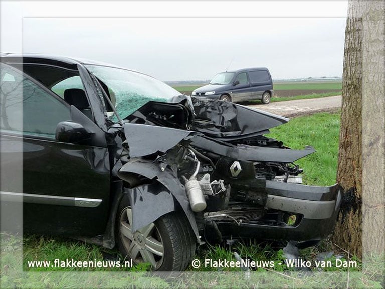Bestuurder rijdt tegen boom op Tilsedijk