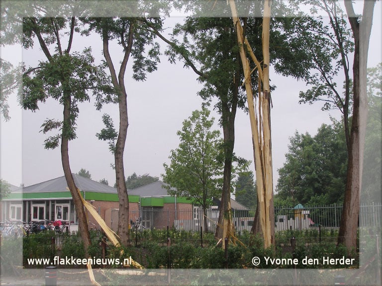Bliksem treft boom in Middelharnis