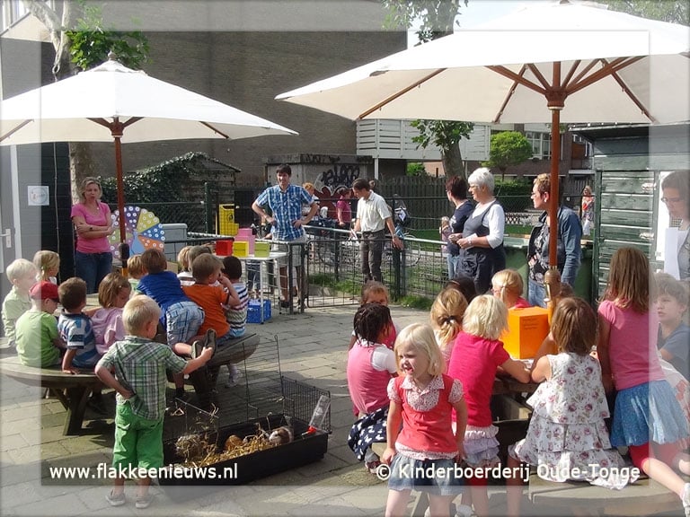 Proef lesprogramma Meneer de Pauw