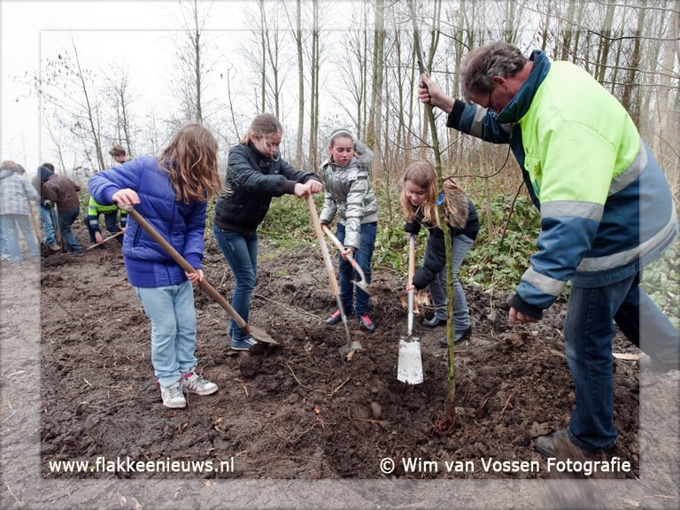 De Pannebakker plant bomen in Nieuwe-Tonge