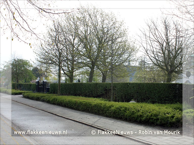 Begraafplaats Middelharnis krijgt nieuwe haag