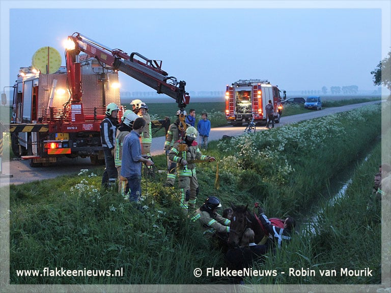 Paard met veel mankracht uit de sloot gered