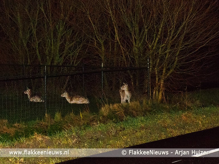 Grote brand bij boerderij in polder Stellendam