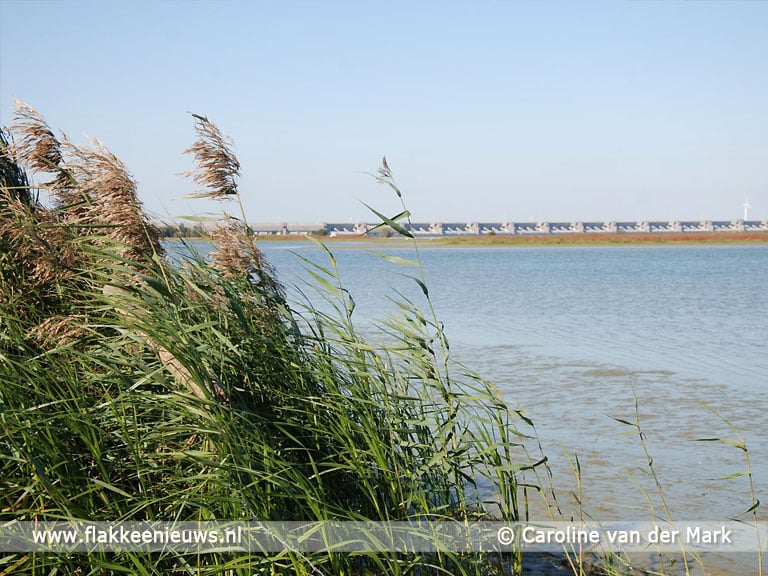 Haringvlietsluizen later open vanwege watertekort