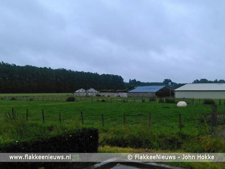 Brand verwoest loods in Ooltgensplaat