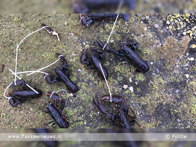 Arrestaties voor stroperij Goeree-Overflakkee