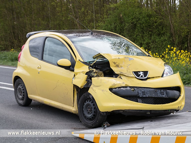 Eend veroorzaakt kettingbotsing