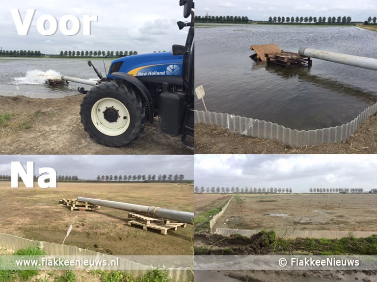 Waterbad helpt tegen miniwormen op uienveld