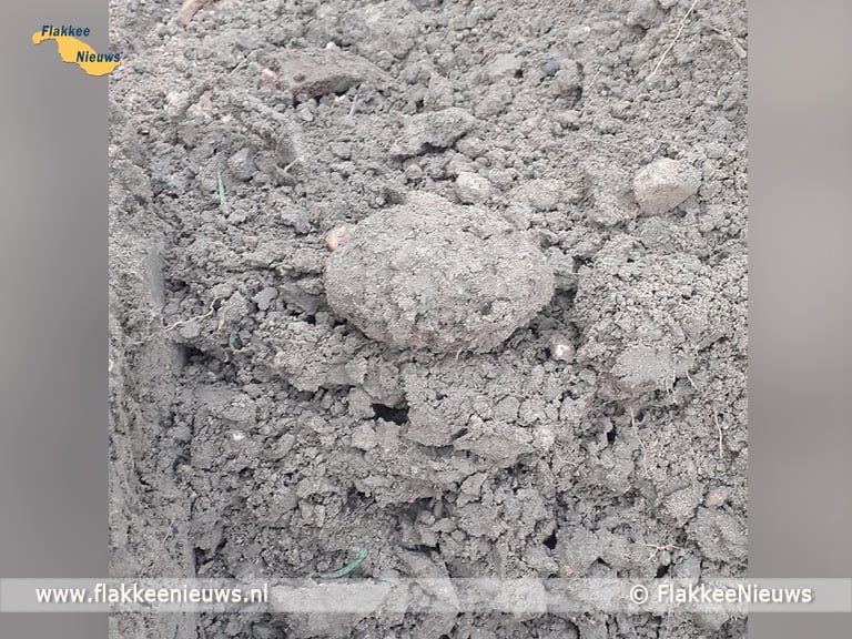 Bijzondere vondst tijdens graafwerkzaamheden bij Den Bommel
