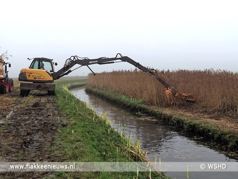 Waterschap houdt rekening met de Grote Karekiet