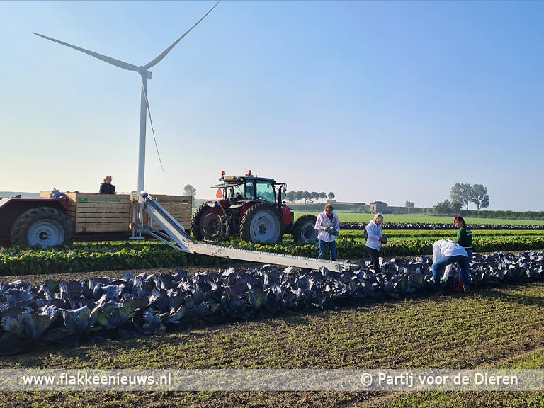Biodiversiteit bij biologisch landbouwer Cornelis Mosselman