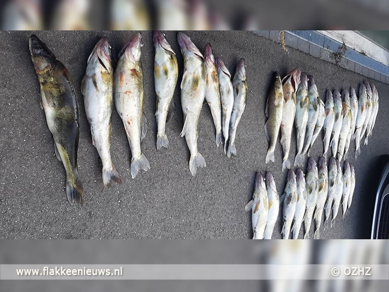 Geldboete, 3 jaar proeftijd en vaartuig kwijt voor snoekbaarsstroperij