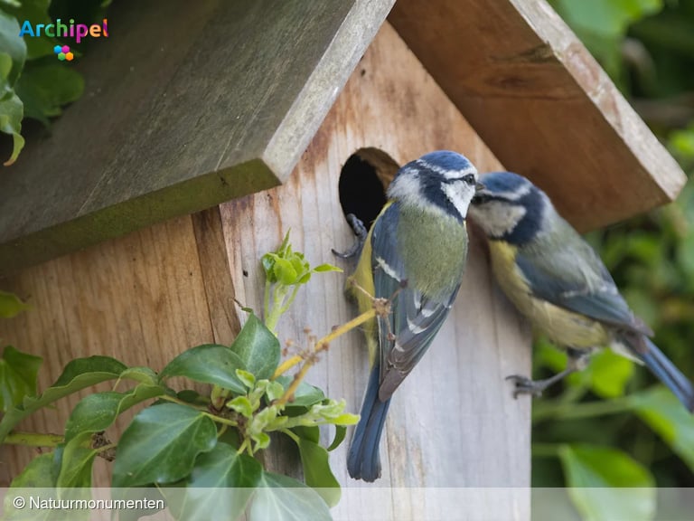 Welkom in kraamkamer Moeder Natuur